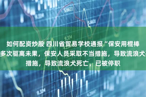 如何配资炒股 四川省贸易学校通报“保安用棍棒打死流浪狗”：多次驱离未果，保安人员采取不当措施，导致流浪犬死亡，已被停职