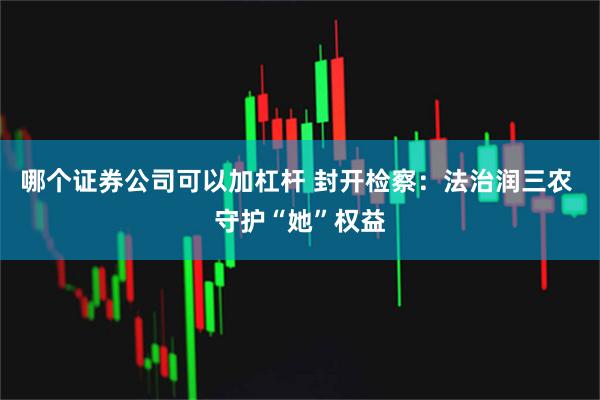 哪个证券公司可以加杠杆 封开检察：法治润三农 守护“她”权益